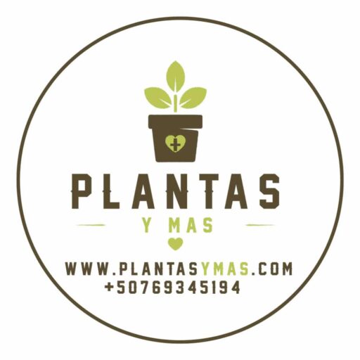 Plantas y Más Panamá