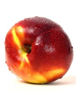 Nectarina - Prunus persica